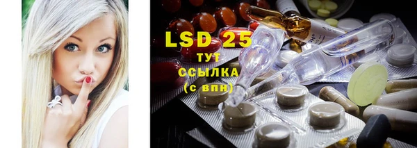 стаф Верея