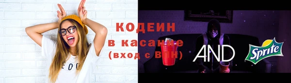 стаф Верея