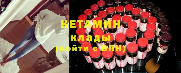 стаф Верея