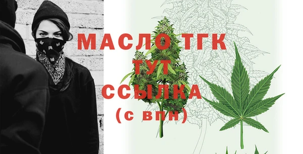 стаф Верея