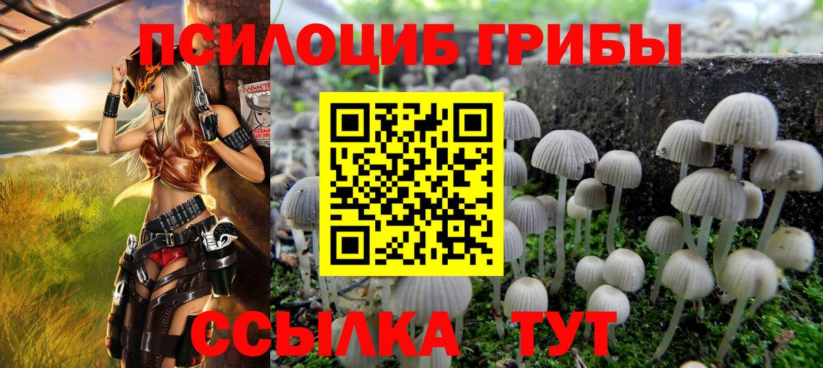 Славянск-на-Кубани  Псилоцибиновые грибы Psilocybine cubensis  Вход с VPN 